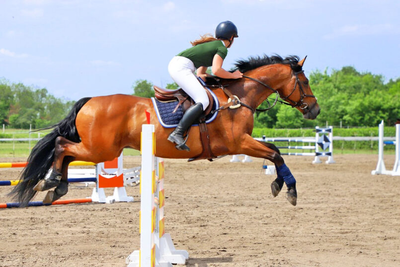 Outdoor horse arena jumping