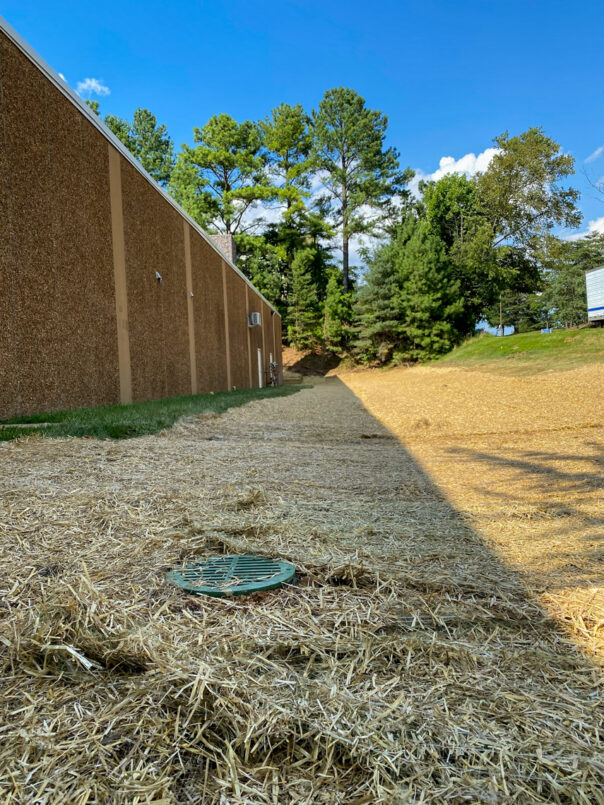 Reseed and straw on all disturbed areas.