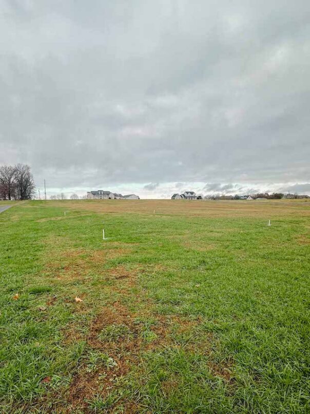 Before excavation for the site