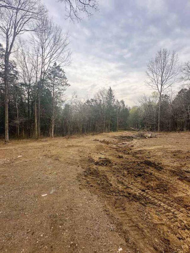 The wood site was densely