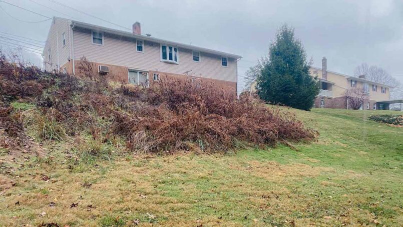 The steep grade in this backyard